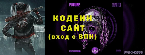 дмт Магас