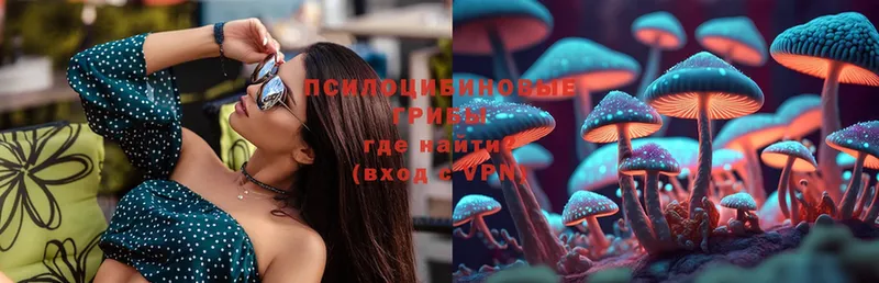 купить  цена  Мирный  KRAKEN ССЫЛКА  Галлюциногенные грибы Psilocybe 