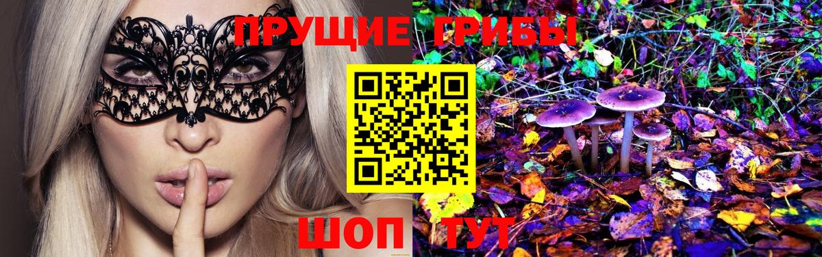 Мирный  Галлюциногенные грибы Psilocybine cubensis  Вход с VPN 