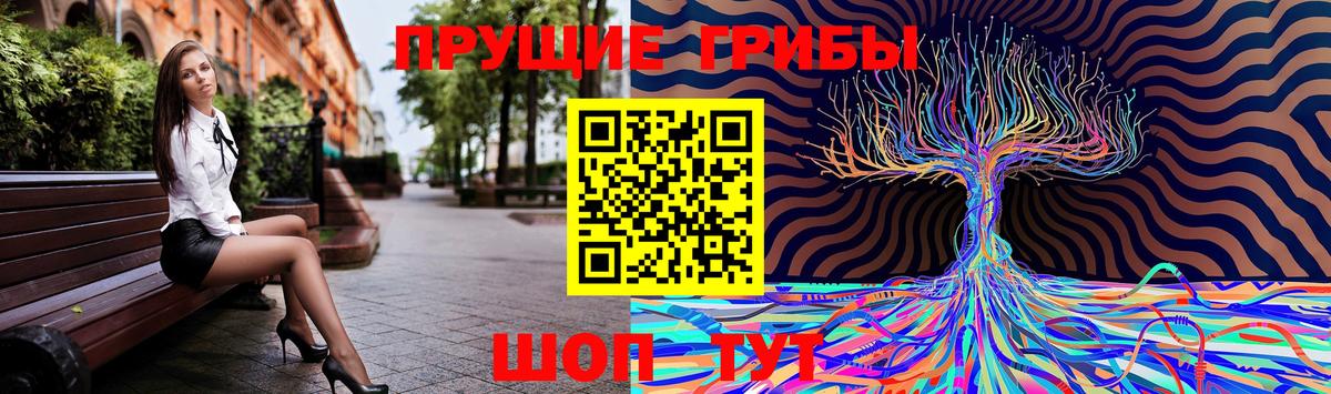 Галлюциногенные грибы Psilocybine cubensis Мирный